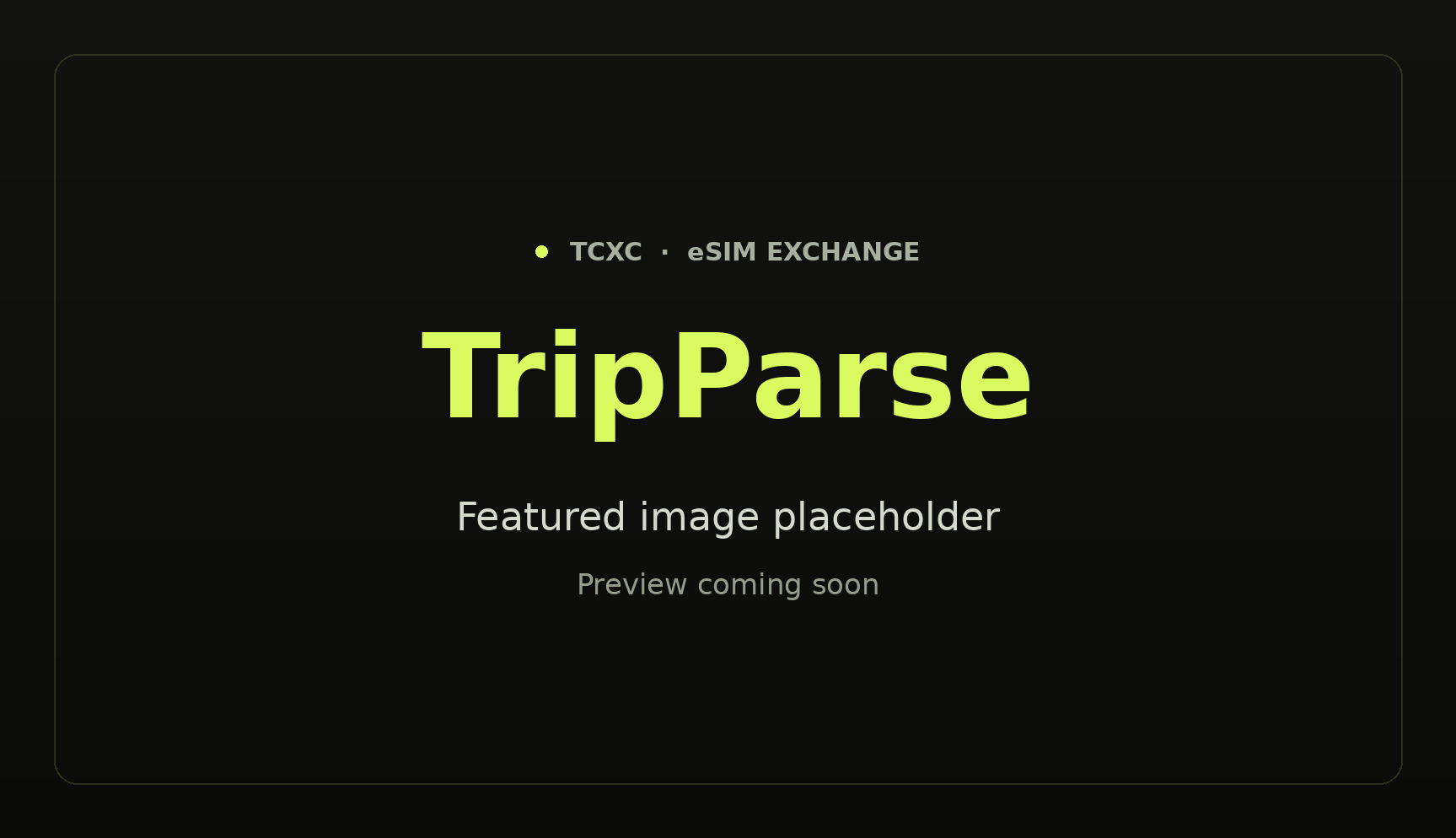TripParse admin console dashboard showing balance, orders, vouchers, resellers, and top destinations — the white-label eSIM business back-office built on the eSIM Exchange